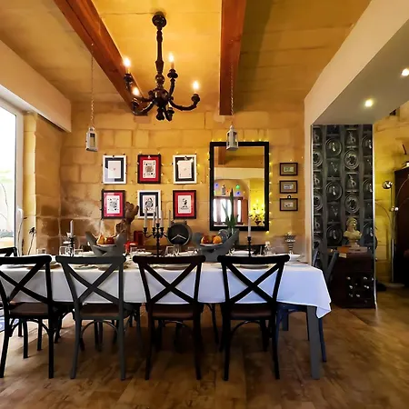 度假居 The Curiosities House - Artistic & Experiential Retreat *